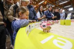 obvitastand_offa_011-scaled