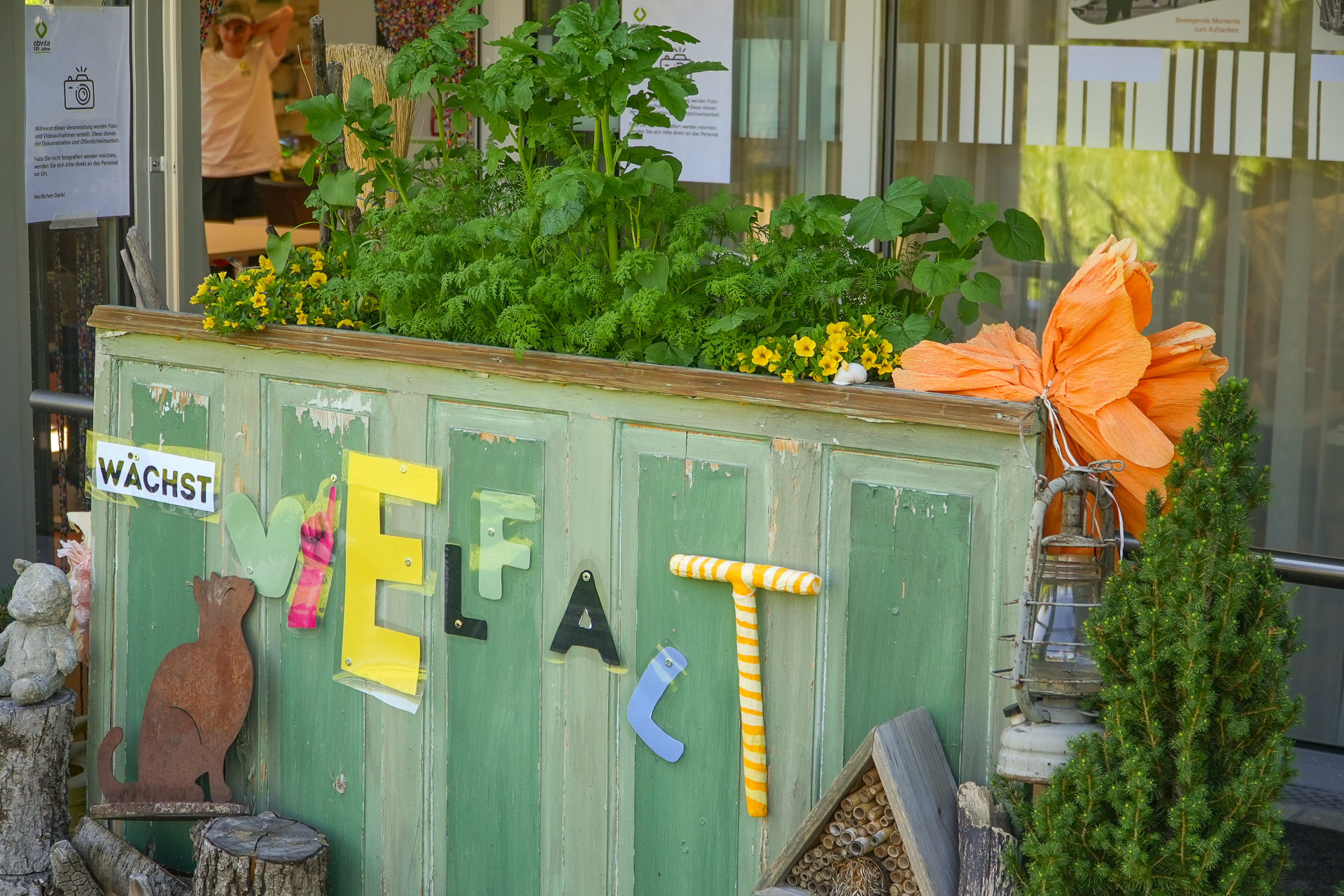Ein grüner Pflanzkasten aus Holz, verziert mit bunten Buchstaben, einer Katzensilhouette und Blumen. Der Kasten enthält üppig grüne Pflanzen und eine große orangefarbene Papierblume; im Hintergrund ist eine Person zu sehen.